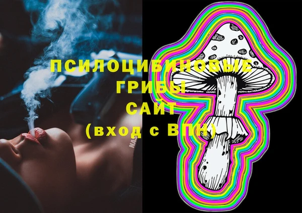 PSILOCYBIN Арсеньев