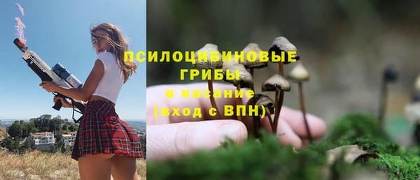 мескалин Аркадак