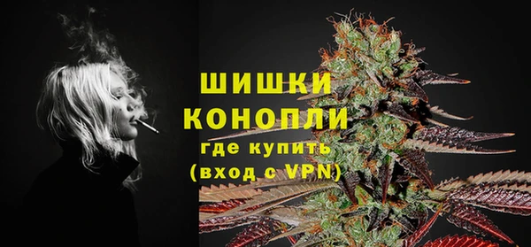 PSILOCYBIN Арсеньев