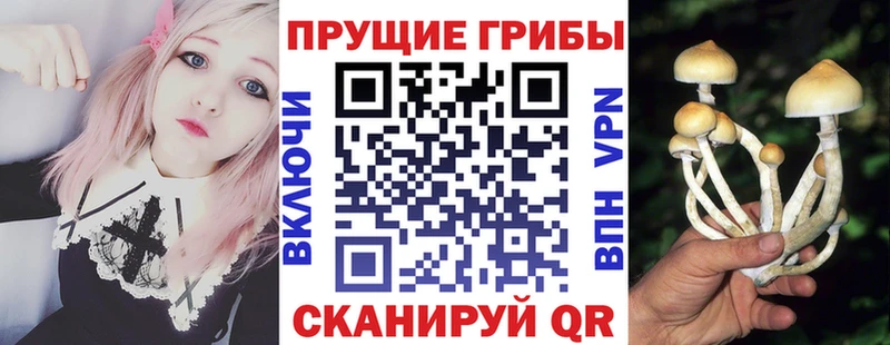 Псилоцибиновые грибы Psilocybe  наркошоп  Артёмовск 