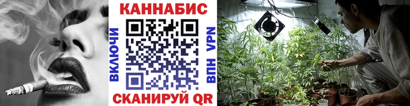 купить наркоту Артёмовск Шишки марихуана SATIVA & INDICA